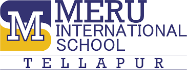 Meru International School Company logo